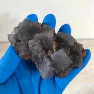 May include: A cluster of dark purple, cubic fluorite crystals with translucent edges and visible geometric facets. The mineral specimen features a rough, natural texture with small brown inclusions nestled between the sharp, angular crystal formations.