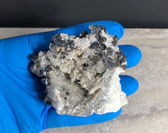 May include: A mineral specimen featuring a cluster of dark, metallic-looking crystals atop a matrix of white and translucent quartz. The specimen is held in a blue gloved hand, showcasing its natural form and texture.