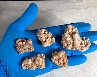 5pcs 77g Colorado Microcline Feldspar Crystal Clusters Mineral Specimens  QO-23