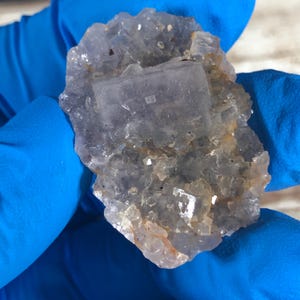 May include: A close-up of a fluorite mineral specimen. The fluorite features a pale purple hue with crystalline structures. The specimen is held by a person wearing blue gloves. The mineral has a rough, uneven texture.
