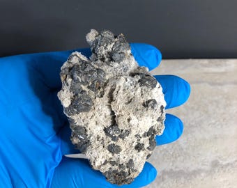 May include: A rough, irregularly shaped rock formation. The rock has a light gray base with dark gray and black mineral deposits scattered across its surface. The rock is held by a person wearing a blue glove.