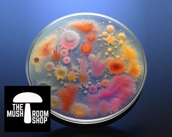 Live Mold Cultures on Petri Dish - Select the Species