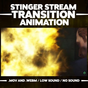 Simple Transition For Streams - Bomb Style Transition For Videos and Streams (Stinger Animation)