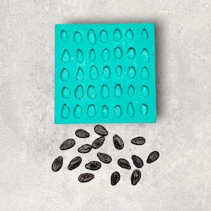 May include: A teal silicone mold with multiple teardrop-shaped cavities, alongside a scattering of dark brown, seed-like objects. The mold is square and the seeds are scattered on a light gray surface.