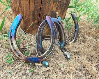 Subculture 　HORSE SHOE GOODLUCK Good Luck Iron Horseshoe - Parlour of Wonders