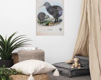 Disco Birbs poster - crazy sophisticated!