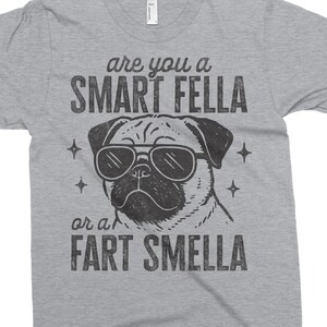 Are You A Smart Fella png - grappige png - afdrukbestand - grappig pug shirtontwerp - sarcastische png - digitale download