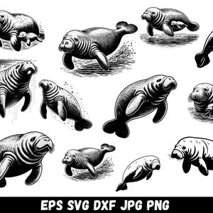 Könnte beinhalten: Schwarz-Weiß-Illustration von mehreren Seekühen in verschiedenen Posen. Einige Seekühe sind mit ihren Jungen dargestellt. Das Bild hat einen Vintage-Stil mit Gravur, mit dem Text "EPS SVG DXF JPG PNG" unten.