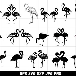 Flamingo SVG Bundle, Flamingo Clipart, Flamingo PNG, Flamingo Silhouette SVG, Flamingo Designs, Flamingo Svg, Tropical Bird Shirt Design