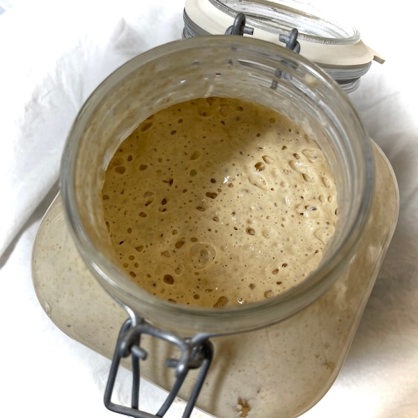 Organic Sourdough Starter, Locally milled flour, All natural