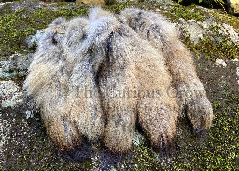 C Grade Coyote tail key chain , curiosities, oddities, goblincore, hand bag accessory, taxidermy, genuine real fur, vulture culture image 2