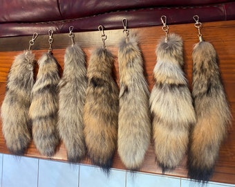 C-Grade Coyote Tail Schlüsselanhänger, Kuriositäten, Kuriositäten, Goblincore, Handtaschenzubehör, Präparatoren, echtes Echtfell, Geierkultur