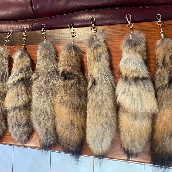 C Grade Coyote tail key chain , curiosities, oddities, goblincore, hand bag accessory, taxidermy, genuine real fur, vulture culture