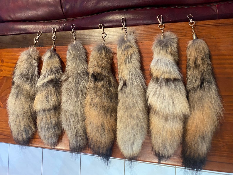 C Grade Coyote tail key chain , curiosities, oddities, goblincore, hand bag accessory, taxidermy, genuine real fur, vulture culture image 1