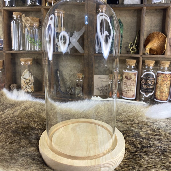 Glass Dome Display Etsy