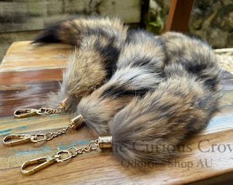 Coyote tail keychain, curiosities for art and display, oddities collectables, taxidermy preserved animal fur, vulture culture