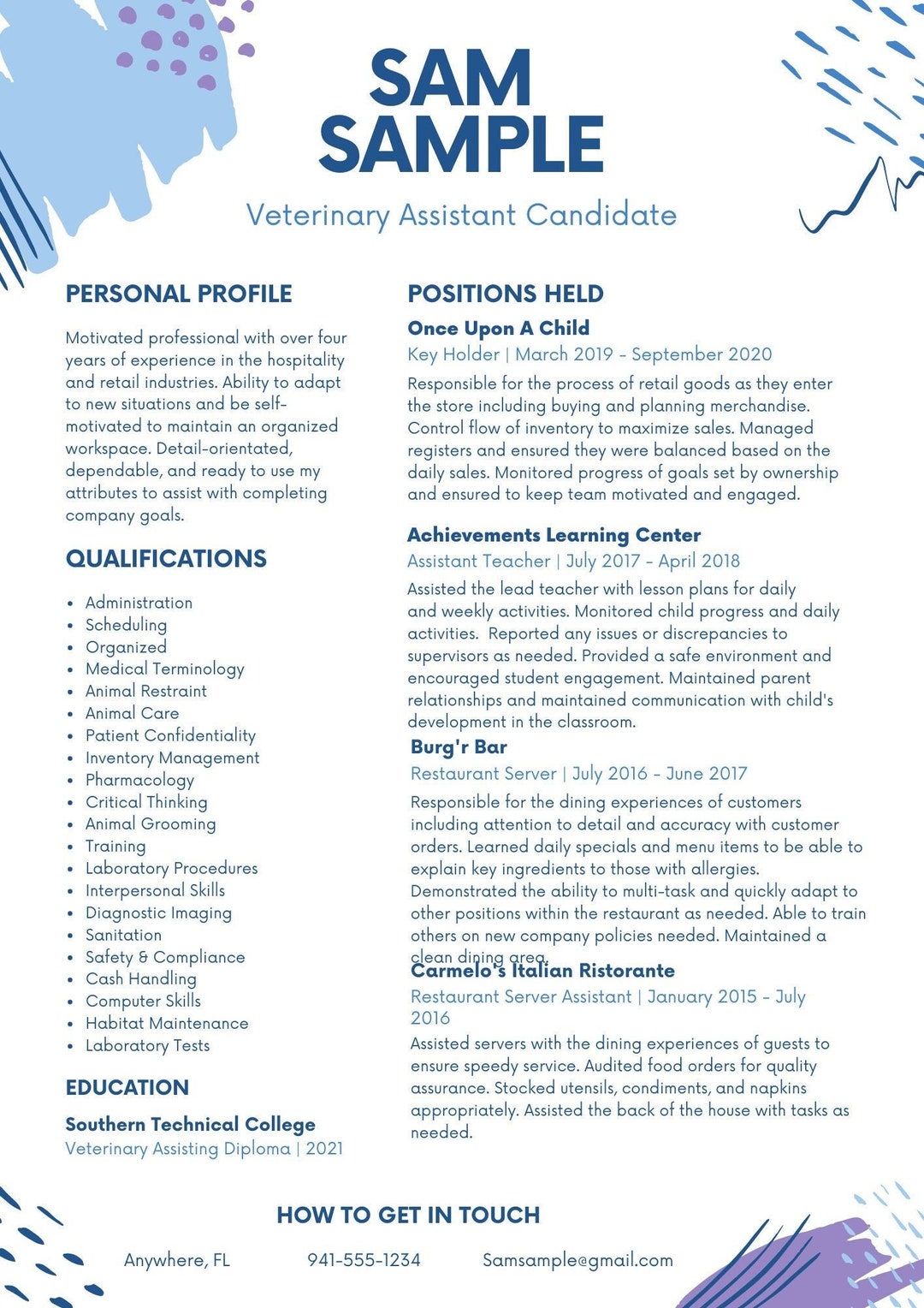 Veterinary Assistant Entry Level Resume Professional Resume Template