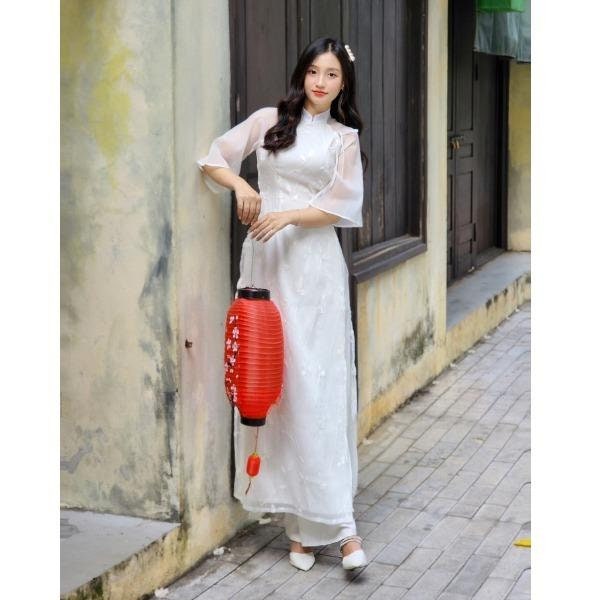 Amazon.com: A15 Vietnamese Traditional Ao Dai For Women, Ao
