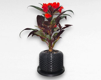 Rhombique | Indoor Planter | Pot and Plate | Minimalist | Aesthetic | 3D Printed