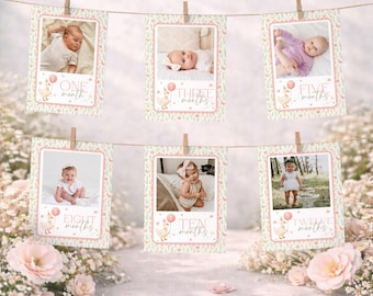 One Silly Goose Monthly Photo Banner, Vintage Silly Goose One Year Photo Board, Silly Goose My First Year, Girl 1st Birthday Garland, Canva