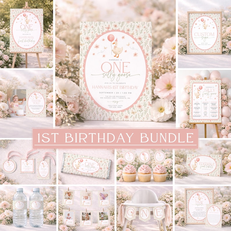 One Silly Goose Invitation Bundle, Vintage One Silly Goose Birthday, Pink One Silly Goose Bundle, Silly Goose Party Decor, Girl 1st Birthday image 1