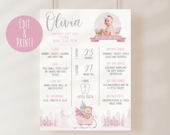 Winter Onederland Milestone Sign Template, Girl 1st Birthday Milestones Board, Winter Onederland Milestone Birthday Poster Editable Download
