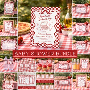 May include: A baby shower bundle with a red and white checkered theme. The bundle includes invitations, signs, labels, and games. The invitation reads "Special Delivery!" with the baby shower details. Other signs say "Welcome", "Books for Baby", and "Thank You".
