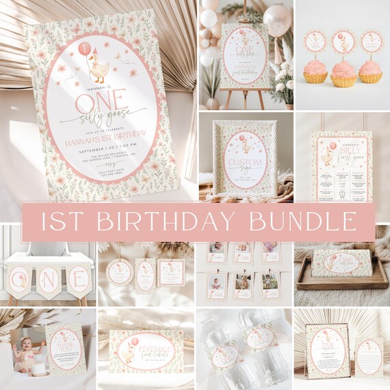 One Silly Goose Invitation Bundle, Vintage One Silly Goose Birthday, Pink One Silly Goose Bundle, Silly Goose Party Decor, Girl 1st Birthday
