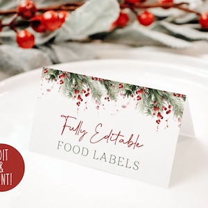 Christmas Party Name Tag Set, Christmas Name Tags, Christmas Name Tag Set  of 24, Christmas Name Tags Digital File, Christmas Party Printable 