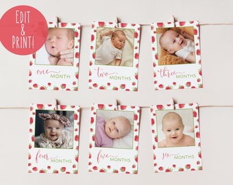 Berry First Birthday Monthly Photo Banner Template, Strawberry Birthday 1st Year Photos, Berry 1st Birthday Photo Garland, My First Year DIY