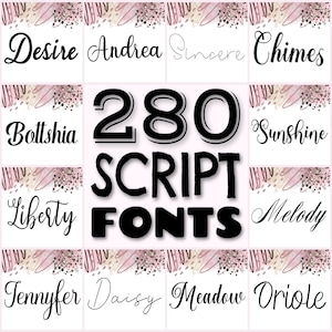280 Script font bundle, wedding fonts set, cursive fonts, handwritten fonts, swirly fonts, Procreate font, modern cute fonts, commercial use