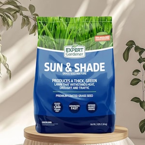 3LB Seeds Kentucky Bluegrass Seed Mix, Drought Tolerant Grass Seeds for Green Lawns S407, Northern Lawn Grass Seeds, Hardy Perennial Turf