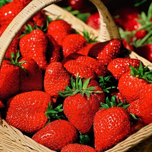 K&ouml;nnte beinhalten: Ein Weidenkorb voller reifer, roter Erdbeeren. Die Erdbeeren haben gr&uuml;ne Bl&auml;tter und eine gl&auml;nzende Oberfl&auml;che, was auf Frische hindeutet. Der Korb ist mit einer reichlichen Ernte der saftigen Fr&uuml;chte gef&uuml;llt.