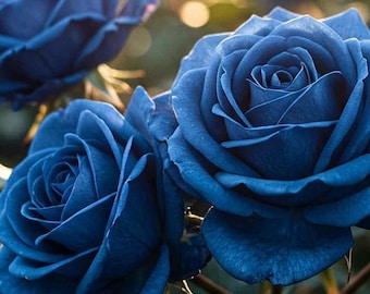 20 Blue Rose Seeds, Unique and Special Rose Variety With Deep Blue