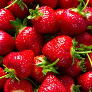 K&ouml;nnte beinhalten: Nahaufnahme von reifen, roten Erdbeeren. Die Erdbeeren sind dicht gepackt und zeigen ihre leuchtende Farbe und strukturierten Oberfl&auml;chen. Gr&uuml;ne Bl&auml;tter und Stiele sind sichtbar und setzen einen Kontrast.