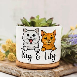 Op de afbeelding: Witte keramische plantenpot met een cartoon illustratie van twee katten, een witte en een oranje, met de tekst "Big & Lily". De pot bevat een groene vetplant en staat op een houten onderzetter.