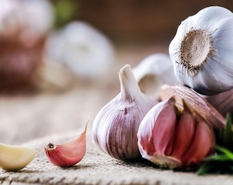 500+ Garlic Seeds Organic Garlic Cloves for Planting, Planting Garlic, Gourmet Garlic Seed Planting Bulbs/Aeed Garlic That Is Ideal