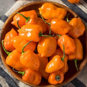 20 Orange Habanero Hot Pepper Seeds, Heirloom, Very Hot Pepper with Fruity Flavor, For Hot Sauce, Non-GMO, Garden Vegetable Seeds
