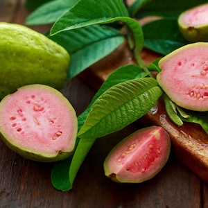 50+ Seeds Pink Strawberry Guava,Heirloom Fruit Tree,Evergreen Shrub,Tropical Fruit Plant,Sweet Juicy Flavor,Natural Guava,Exotic Garden Tree