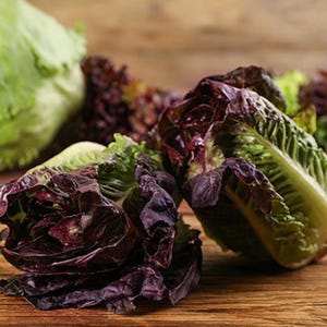 1000 Red Romaine Lettuce Seeds, Very Nutritious, Cold Tolerant, Microgreens, Caesar Salad, Non-GMO, Deep Red-Green Color, Fast-Growing