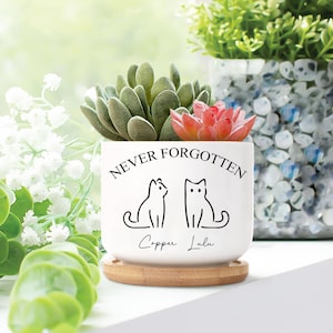 Maceta personalizada con nombre de gato, regalo para dueños de gatos, maceta con nombre de gato, regalo conmemorativo para gatos, maceta personalizada con nombre de gato, regalo personalizado