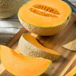 25+ Minnesota Midget Cantaloupe Seeds, Sweet Personal - Size Melon for Small Gardens, Fast Maturing Fruit, Heirloom Non-GMO