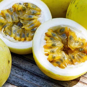 15+ Seeds Golden Passion Fruit Seeds Sweet Granadilla Yellow Passion Fruit Exotic Tropical Vine Easy Grow Fragrant Flowers Delicious Fruit