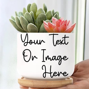 Custom Planter, Personalized Planter, Succulent Planter, Personalized Flower Pot Plant Pot, Unique Corporate Gift, Plant Lover Gift, Logo
