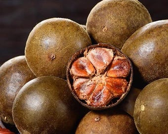 10 Seeds Luo Han Guo Seeds Monk Fruit Sweet Gourd Vine Tropical Plant Garden Climber Easy to Grow