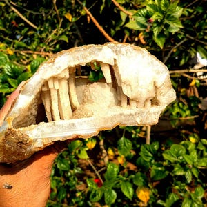 Grande géode d'agate, de calcédoine et de stalactite : décoration d'intérieur en cristal curatif