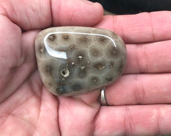 Polished Petoskey Stone: 2.3 oz Fossilized Coral "Holy Stone"