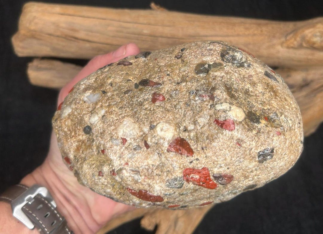 Chowder Stone Large Lake Huron Pudding Stone: Red Jasper, Black Chert, Quartzite ...