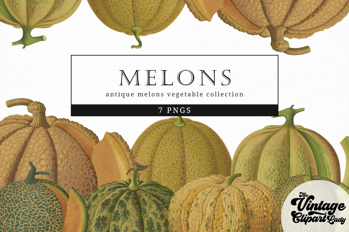 Mea Melon