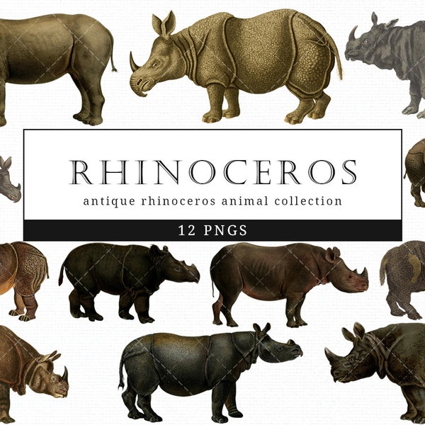 Rhinoceros vintage Illustration d’animaux Clip Art, Clipart, Fussy Cut, Ephemera, collages, Invitations, Découpage, Impression d’art mural